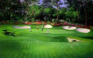 Augusta - 13th Hole