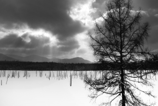 Adirondack Winter