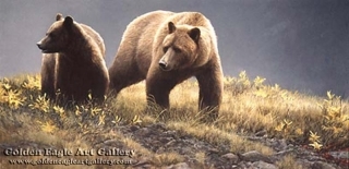 Alaska Light