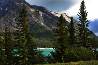 Alberta Scenic