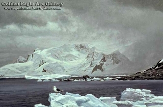 Antarctic Elements