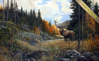 Autumn Elk