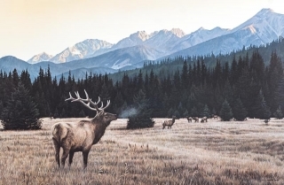 Autumn Medow - Elk