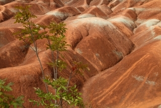 Badlands