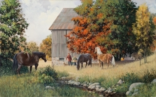 Barnyard horses