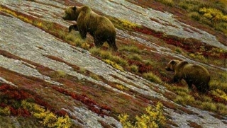 Alaskan Autumn