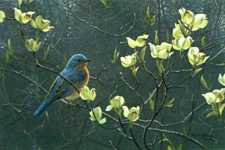 Bluebird and Blossoms