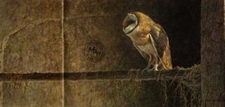 Catching the Light - Barn Owl