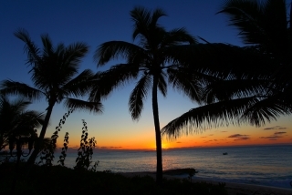 Beach Sunset