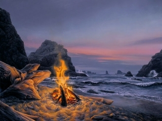 Beach Bonfire