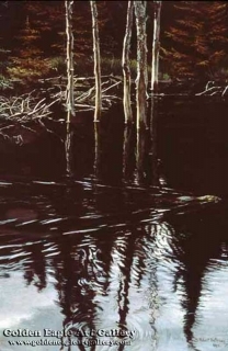 Beaver Pond Reflections