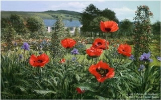 Cottage Garden