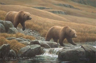 Courting Grizzlies