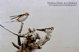 Driftwood Perch - Striped Swallows