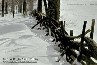 Edge of the Woods - White-Tailed Deer