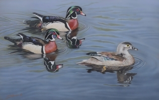 Glorious Pursuit - Wood Ducks