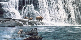 Grizzlies at the Falls