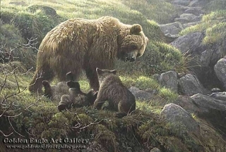 Grizzly and Cubs