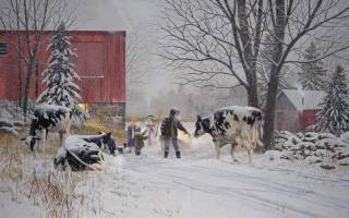 Holsteins and Friends