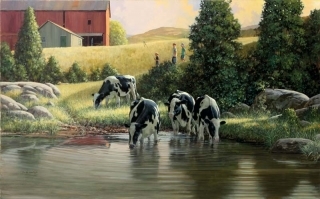 Holsteins at Waters Edge