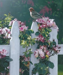 Garden Caretakers