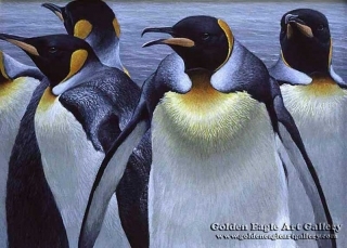 King Penguins