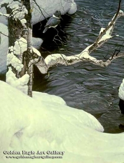 Kingfisher in Winter