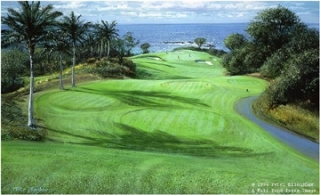 Mauna Kea - 11th Hole