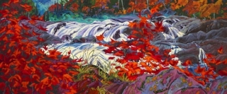 White Water Red Maples