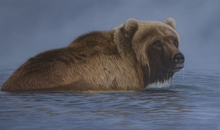One Last Look - Alaska Brown Bear