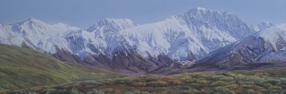 Open Range - Denali