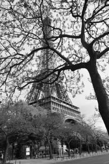 Paris in the Spring