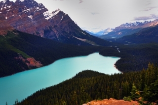 Peyto Lake