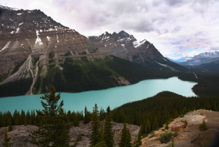 Peyto Lake Alberta