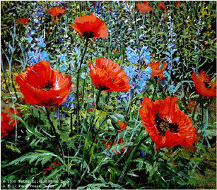 Red Poppies