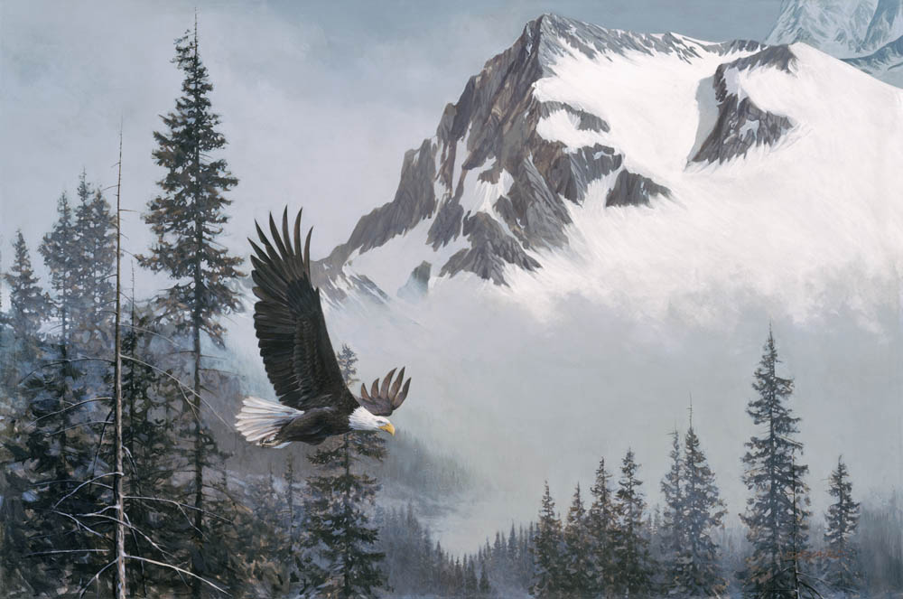 Douglas Laird - Exclusive - Wildlife Golden Eagle Art Galler