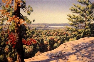 Algonquin Lookout