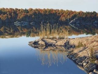 Autumn Reflections