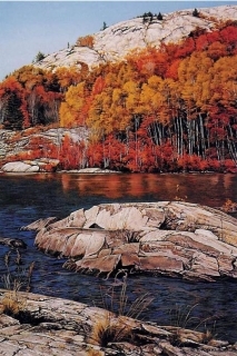 Fall Shoreline