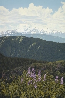 Mountain Flowers