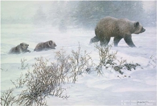 Keeping Pace - Grizzly with Cubs