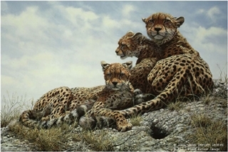 Kenyan Family - Cheetahs