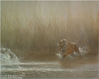 Ranthambore Rush