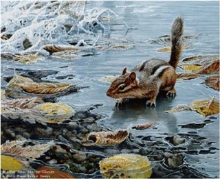 Treading Thin Ice - Chipmunk