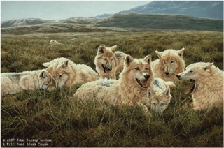 Tundra Family - Arctic Wolves