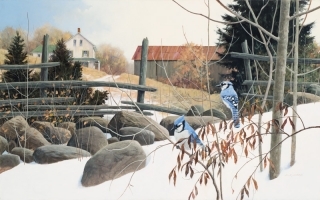 The Resting Place - Bluejays