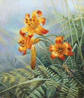 Tiger - Lilies