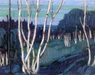 Silver Birches