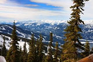 Whistler