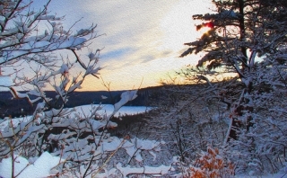 Winter Lookout